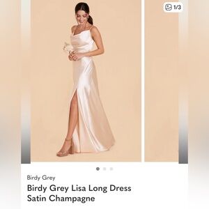 Birdy Grey Lisa bridesmaids dress - color champagne -size medium